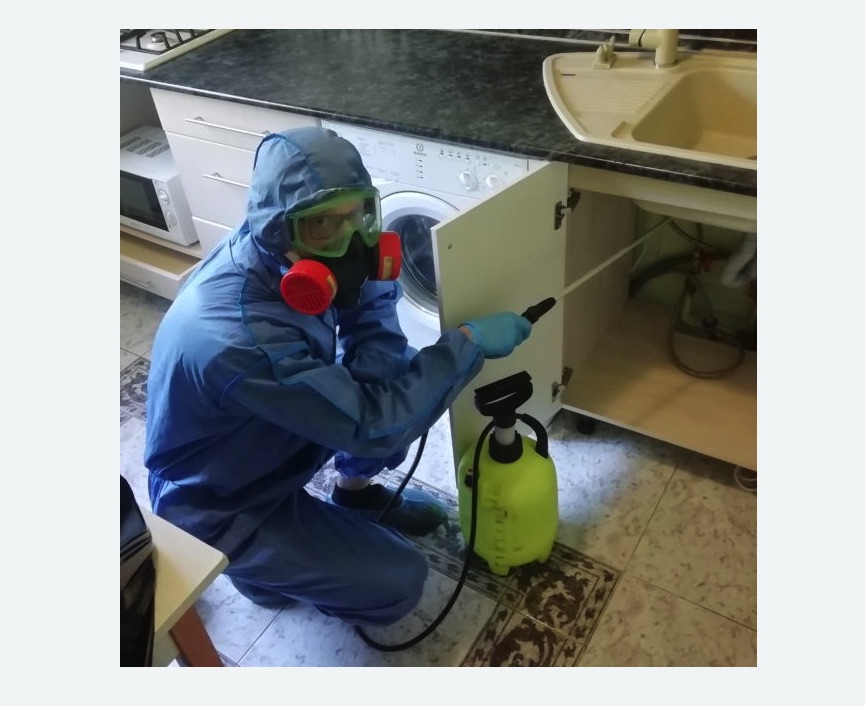 обработка от муравьев в квартире обработка от муравьев в квартире в Сосногорске